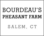 pheasant
